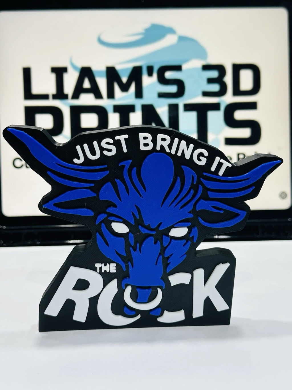 Decorative WWE WWF Just Bring It The Rock Logo Room Sign Display Wrestling