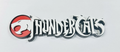 Decorative Thundercats Logo Room Sign Display Self Standing