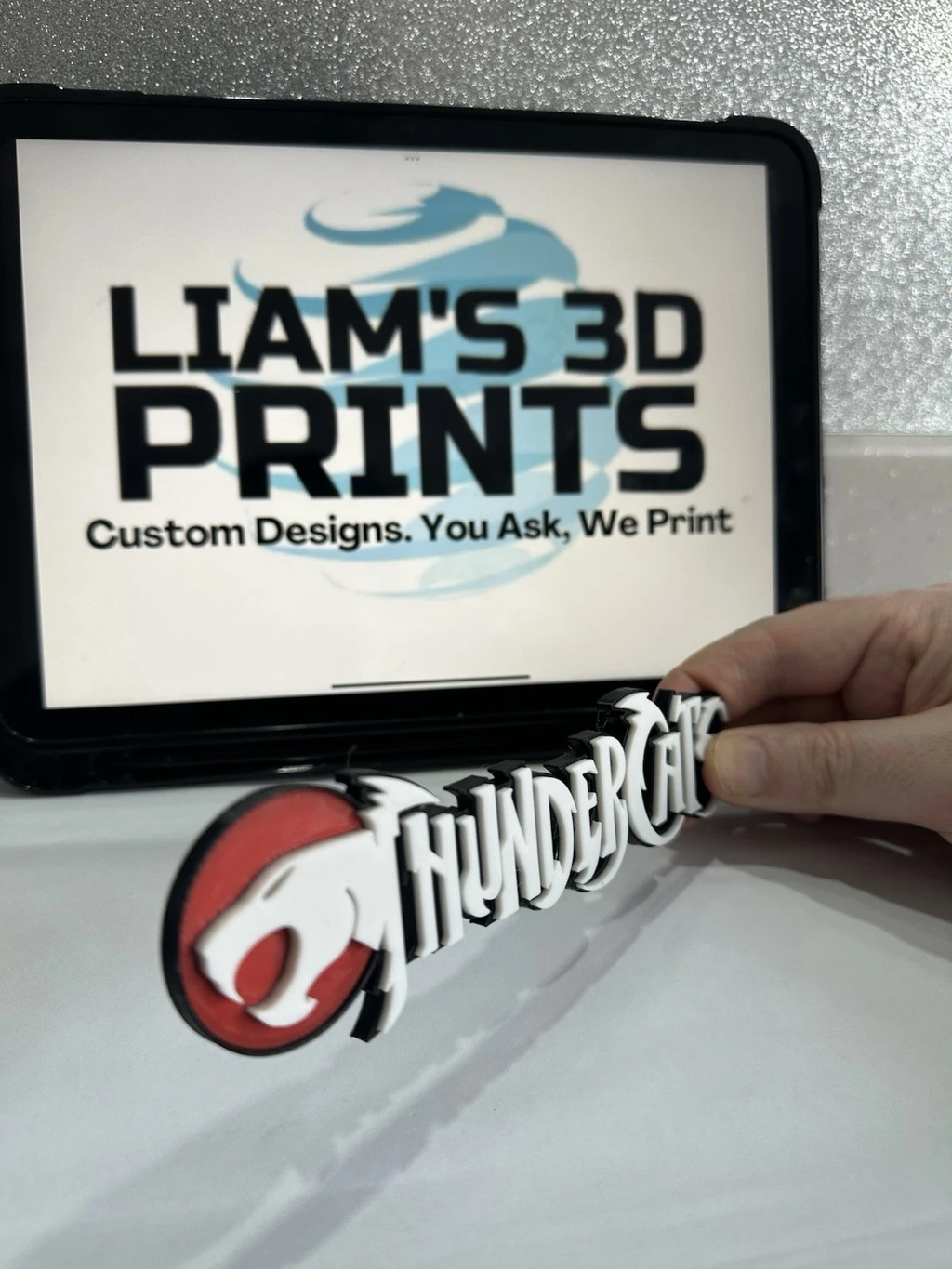 Decorative Thundercats Logo TV Show 3D Print 2 Sizes