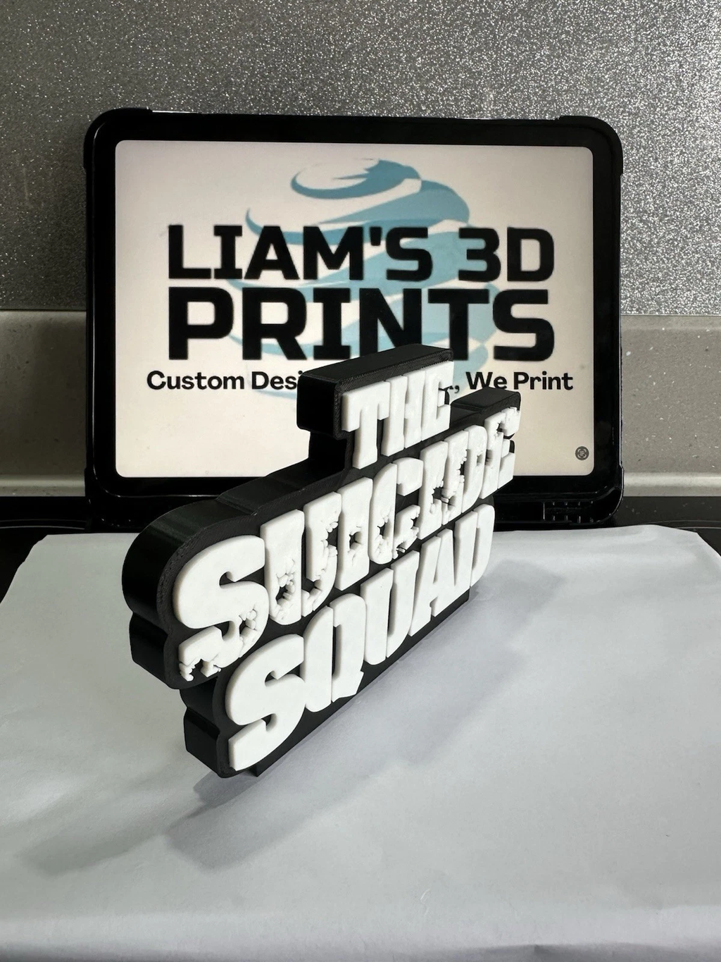 Decorative The Suicide Squad DC Logo 3D Print Wall Display