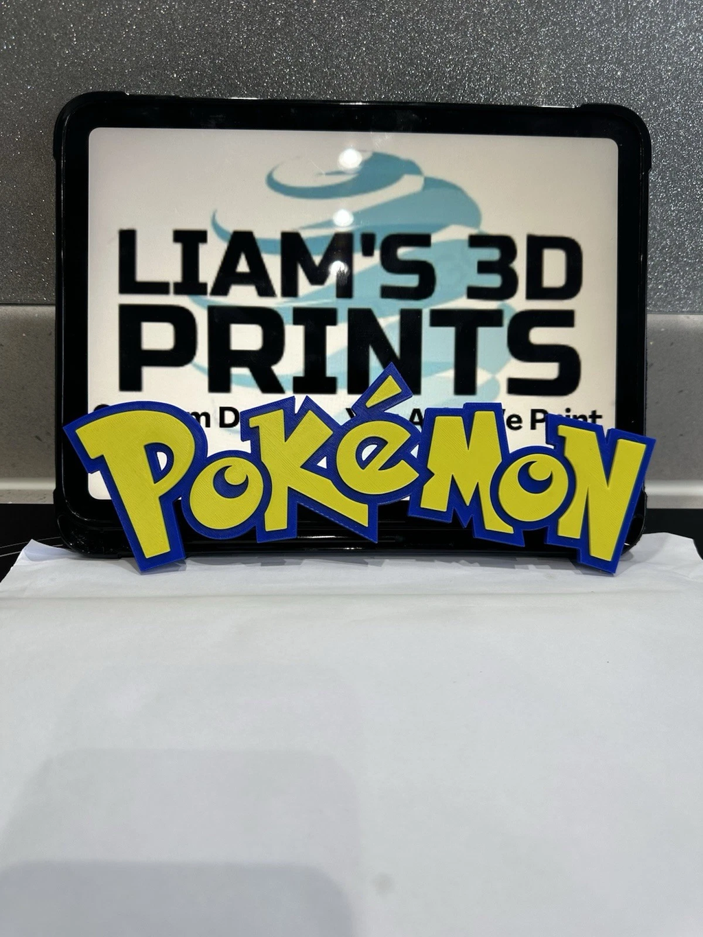 Decorative Pokemon Logo 3D Print Gaming Wall Plaque s16cm L25cm