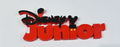 Decorative Disney Junior TV Channel logo Sign Display Pops