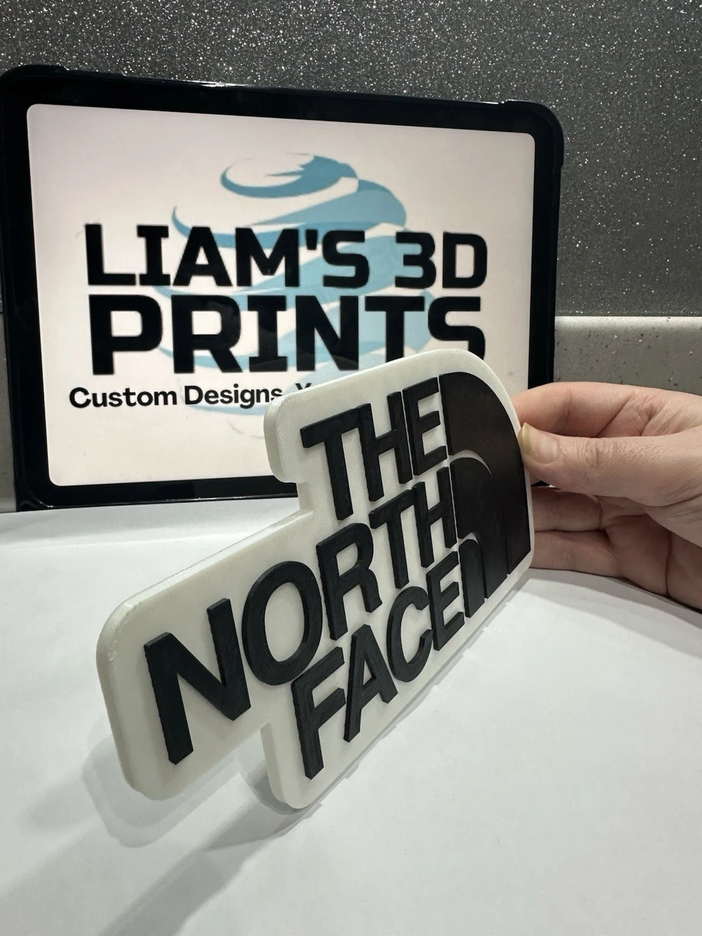 Decorative designer The North Face logo Sign Display Clothing 3D