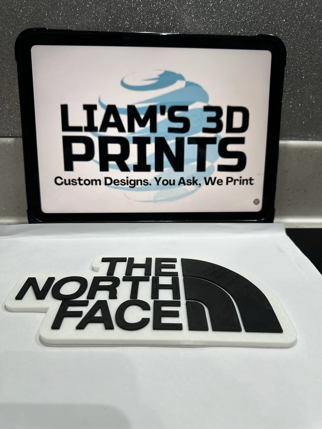 Decorative designer The North Face logo Sign Display Clothing 3D