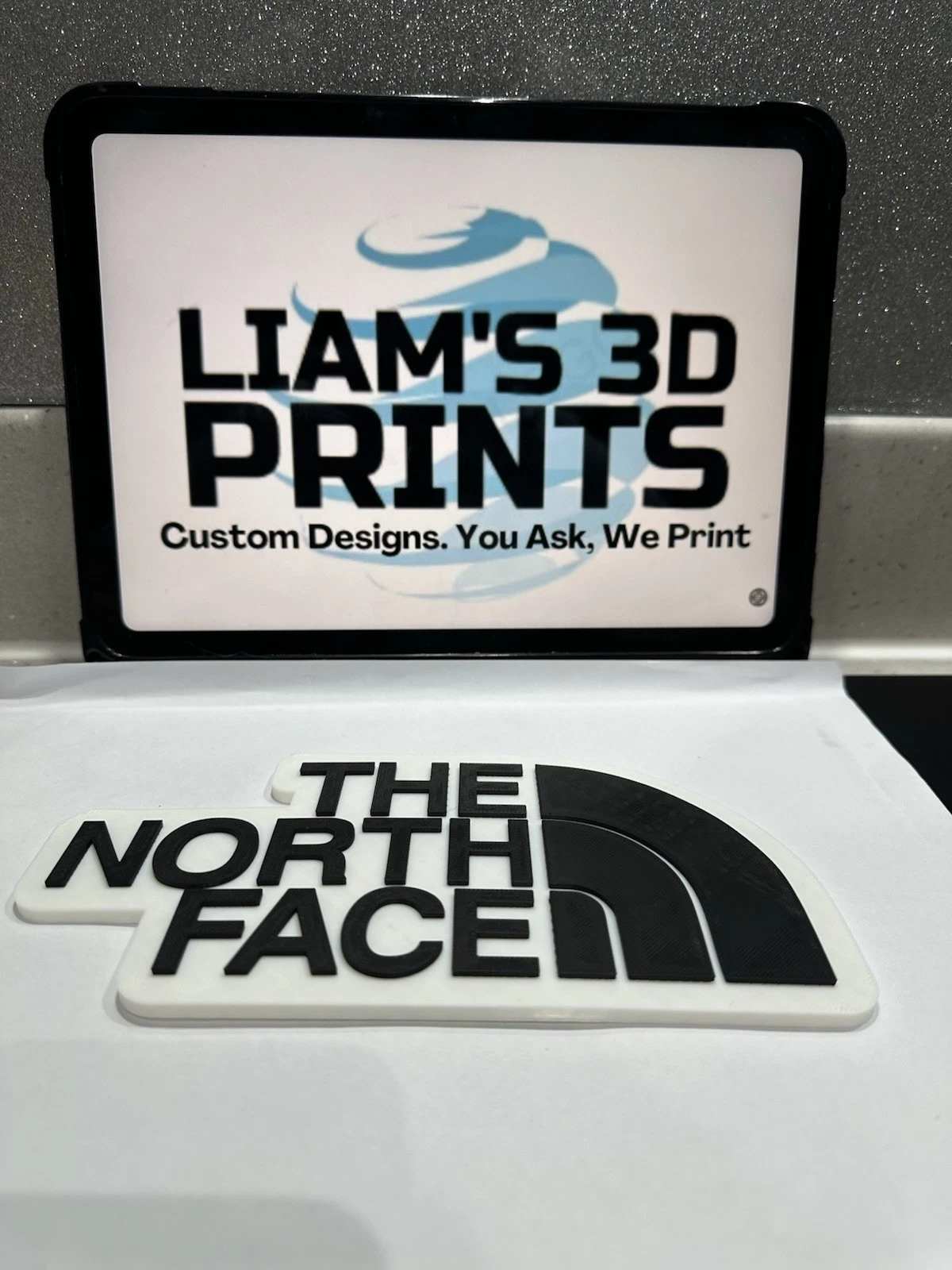 Decorative designer The North Face logo Sign Display Clothing 3D