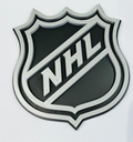 Decorative NHL American Hockey Logo Room Sign Display