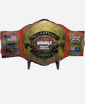 Decorative Wrestling, Boxing, MMA Belt Display Stand Turnbuckle Pad Display WWE