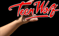 Decorative Teen Wolf logo Sign Display two sizes Small 16cm Large 25cm