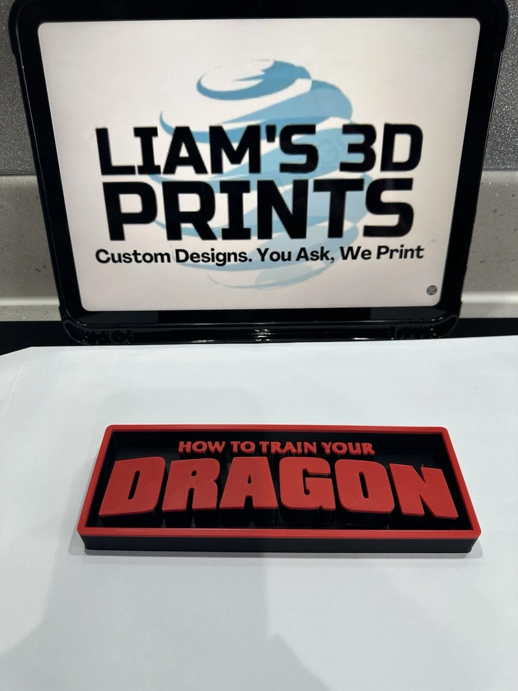Decorative How To Train Your Dragon Film Logo Display Cinema s 17.5cm L 22cm