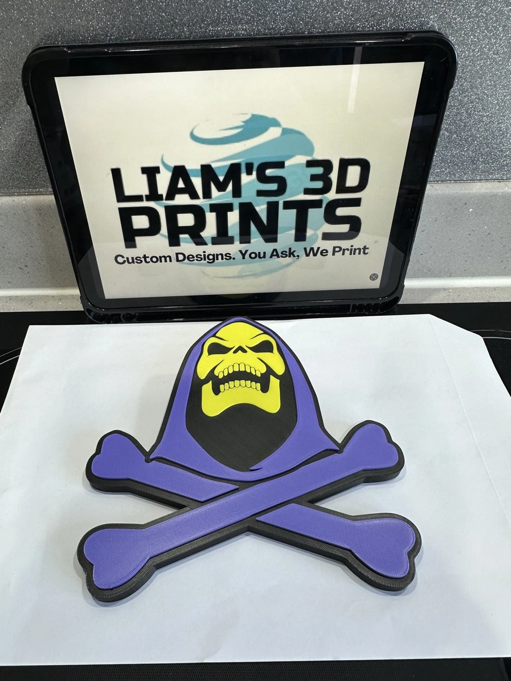 Decorative Skeletor He Man Master Of The Universe Skull logo Sign Display