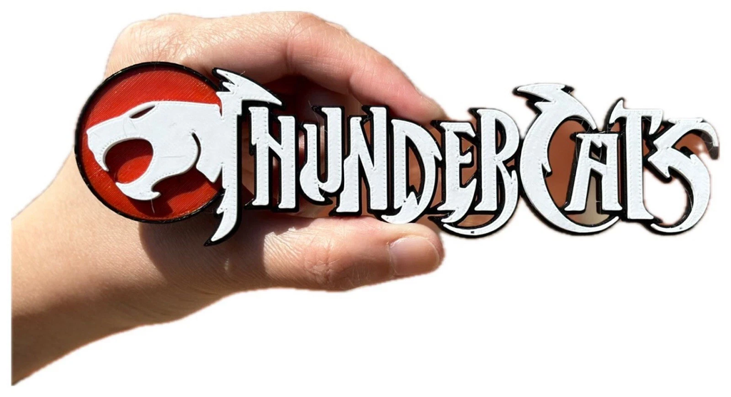 Decorative Thundercats Logo TV Show 3D Print 2 Sizes