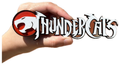 Decorative Thundercats Logo TV Show 3D Print 2 Sizes