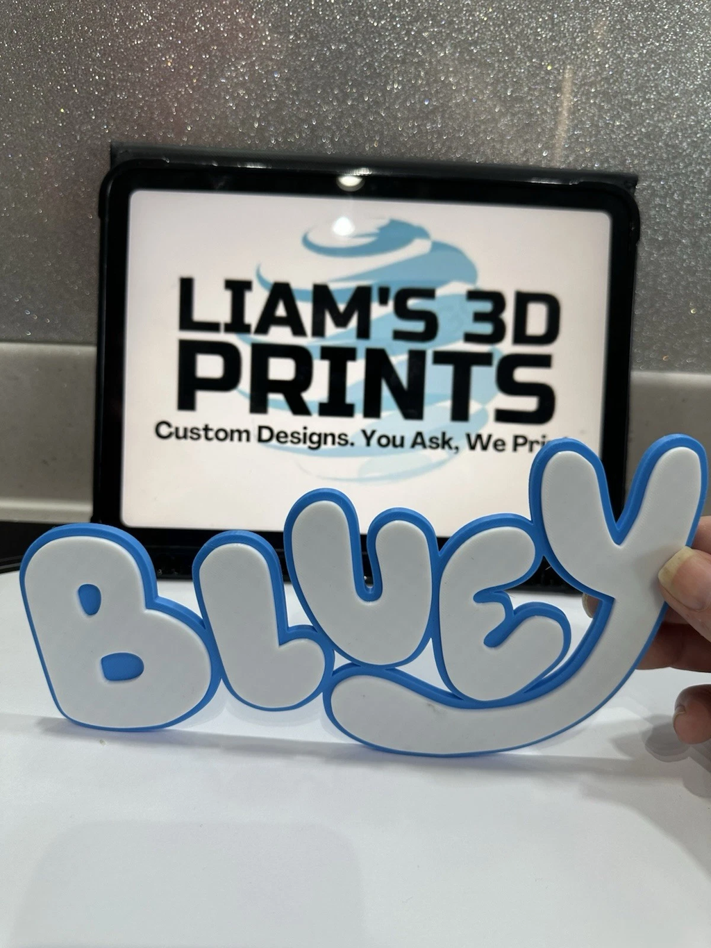 Decorative Bluey Tv logo Sign Display Wall