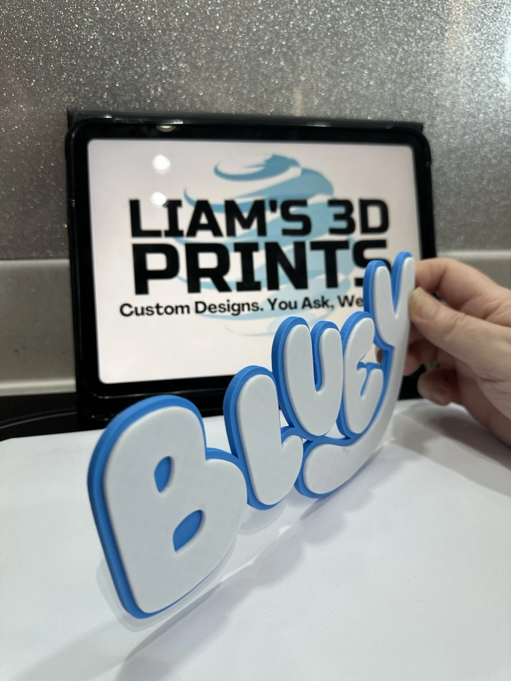 Decorative Bluey Tv logo Sign Display Wall